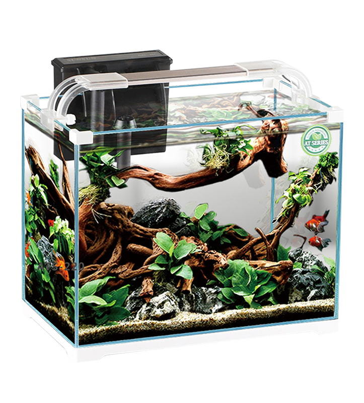 HWK Серия Аквариум с видом на аквариум