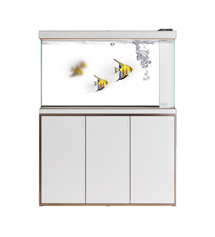 Как часто следует чистить аквариумные аквариумы?